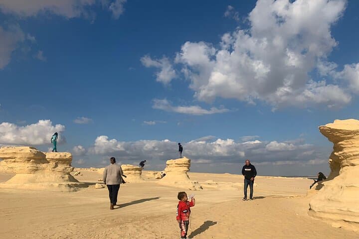 Fayoum Day Tour: Qarun Lake & Wadi El Rayan Day Trip from Cairo photo 3