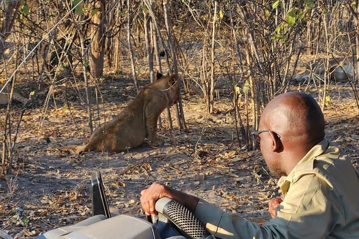 Chobe Quadripoint Predator Safari: Lions, Leopards & Chobe River Cruise photo 2