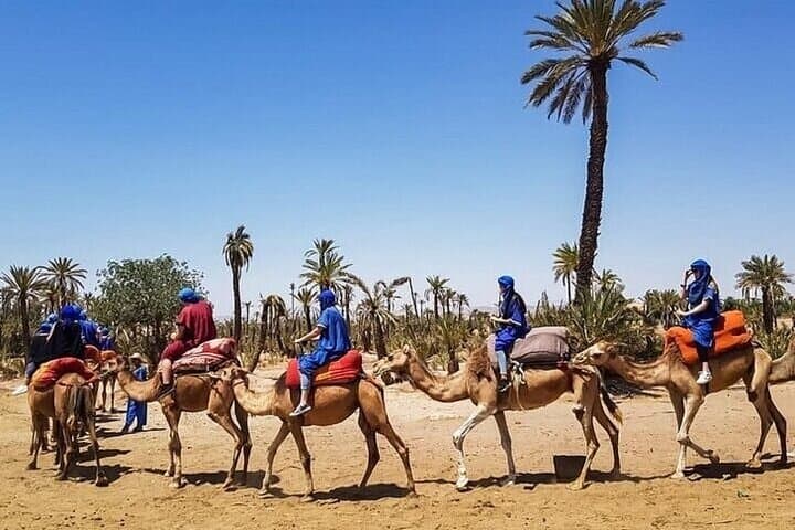 Slow Camel Ride through Marrakech’s Palmeraie Grove: 2-Hour Cultural Escape photo 2