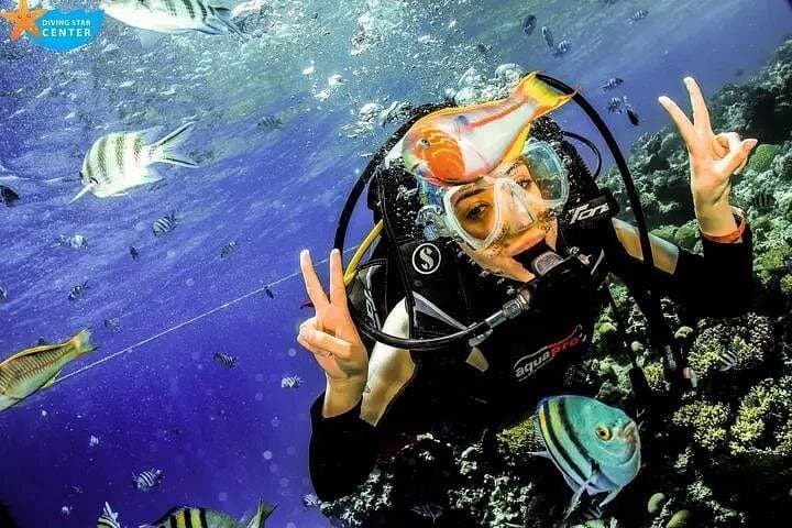 Red Sea Reef Day: Hurghada Full-Day Scuba & Snorkel Adventure with Lunch photo 1