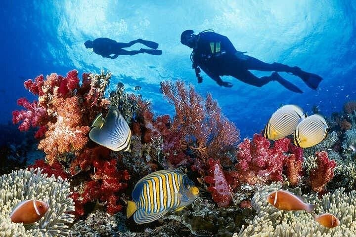Red Sea Reef Day: Hurghada Full-Day Scuba & Snorkel Adventure with Lunch photo 4