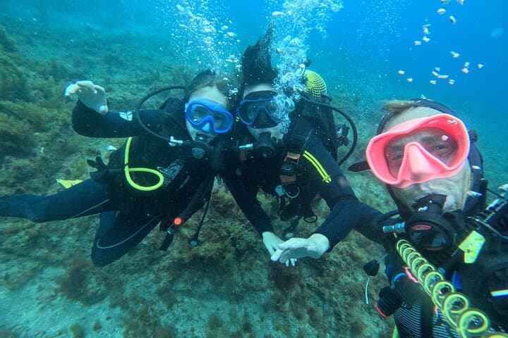 Tenerife First-Time Scuba Dive: Turtle Habitat & Snorkel in Costa Adeje photo 6