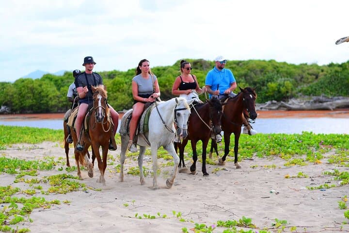 Sunset Horseback Riding at Macao Beach — Punta Cana & Bayahibe photo 2