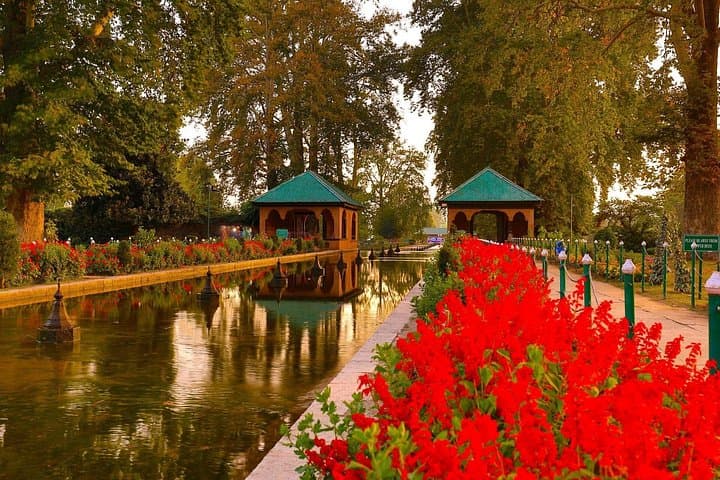 Kashmir Paradise on Earth: 7-Day Srinagar, Gulmarg, Pahalgam & Sonamarg Tour photo 4
