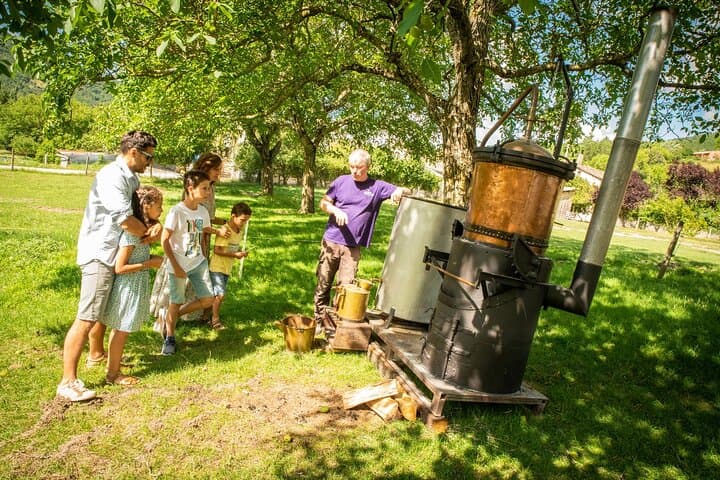 Hands-on Lavender Distillation Workshop on the Vercors