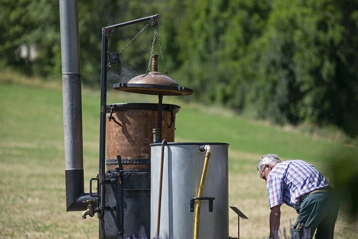 Hands-on Lavender Distillation Workshop on the Vercors photo 5