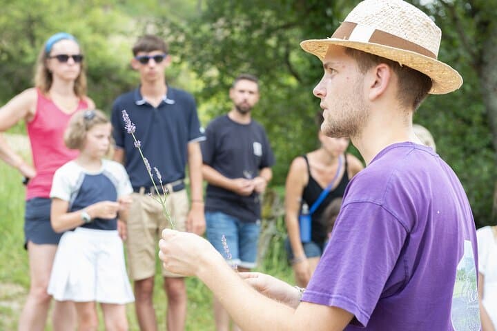 Hands-on Lavender Distillation Workshop on the Vercors photo 6