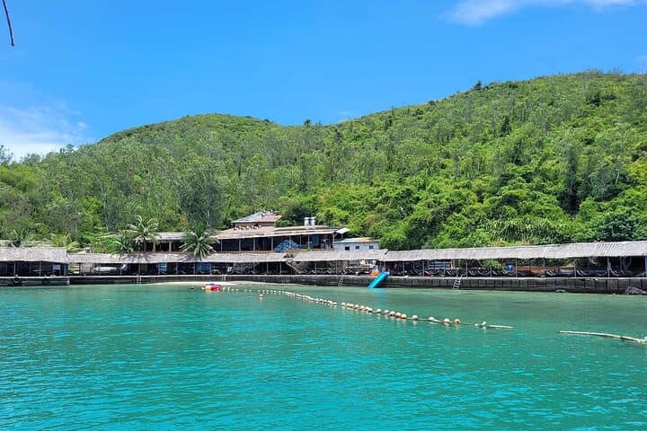 Dive into Fun: Coral Reef Snorkeling and Floating Bar Experience photo 3