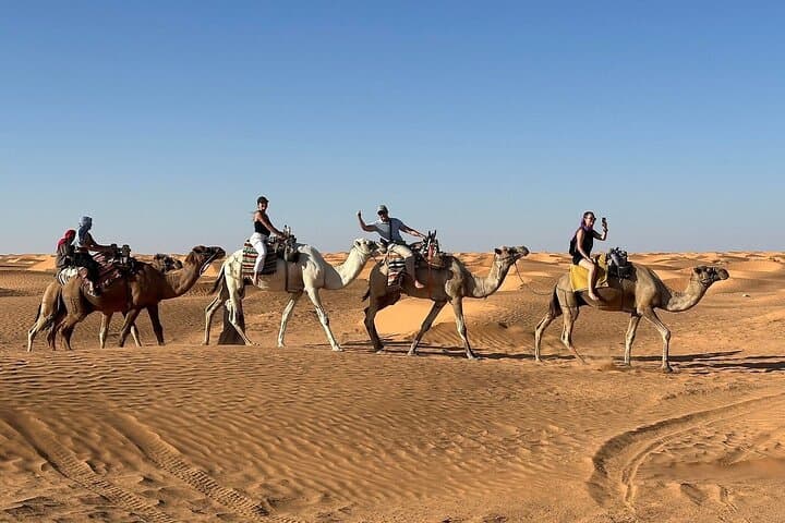 Private 4x4 Day Trip to Ksar Ghilane Oasis