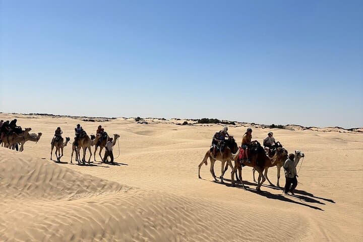 Private 4x4 Day Trip to Ksar Ghilane Oasis photo 2