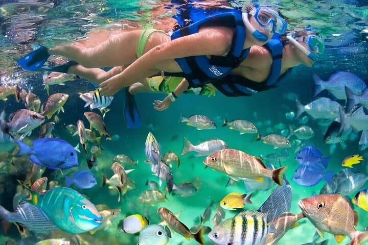 Xel-Há All-Inclusive Adventure: Snorkel, Cliff Jump & River Float