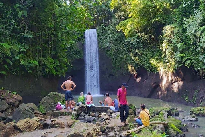 Ubud Day Tour — Waterfalls, Tirta Empul & Tegalalang Rice Terraces photo 4