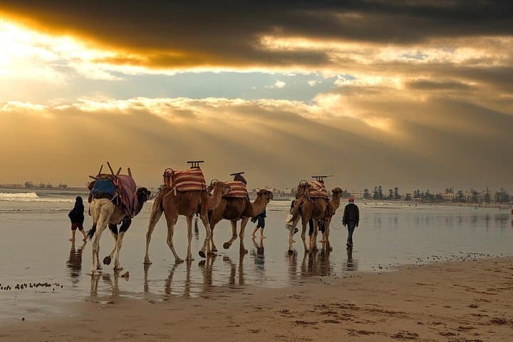 Essaouira Day Trip from Marrakech: Coastal Medina, Seafood & Ramparts photo 1