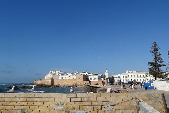 Essaouira Coastal Day Trip from Marrakech: Argan Groves, Medina & Harbor photo 1