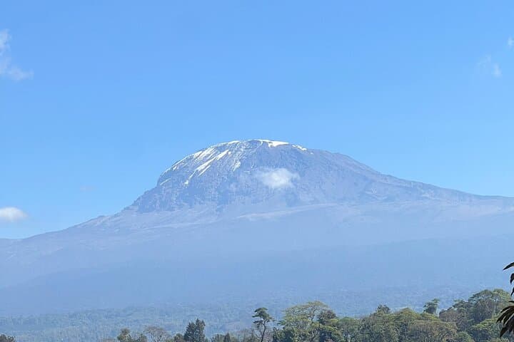 6-Day Kilimanjaro Trek via Machame Route: Summit Uhuru Peak