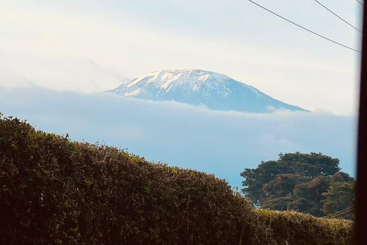 6-Day Kilimanjaro Trek via Machame Route: Summit Uhuru Peak photo 2