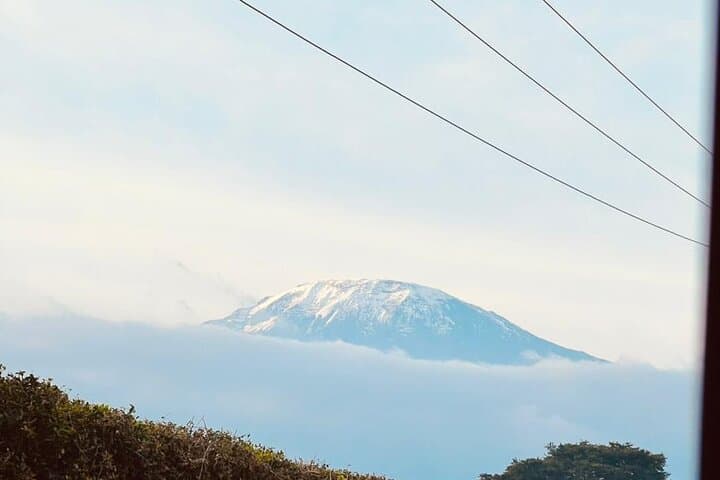 6-Day Kilimanjaro Trek via Machame Route: Summit Uhuru Peak photo 3