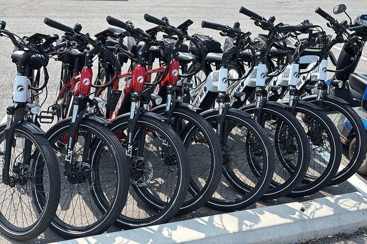 Niagara Falls E-Bike Rental: Ride the Riverfront Trails photo 3