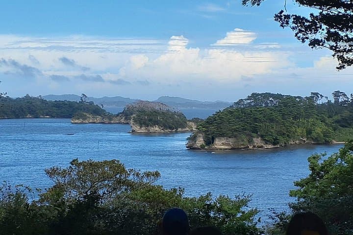 Matsushima Bay Islands & Seafood Market Day Trip from Tokyo photo 3