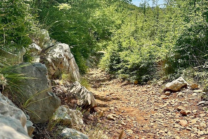Guided Hike Along the Krupa River & Kudin Most — Day Trip from Zadar photo 4