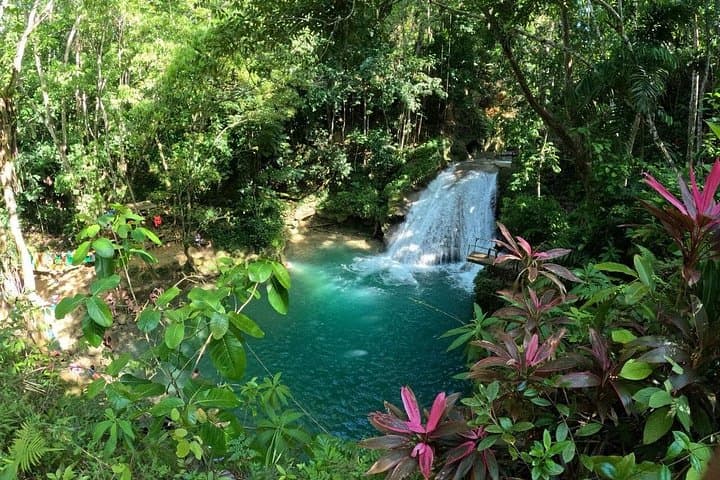 Horseback Ride and Blue Hole Adventure in Ocho Rios, Jamaica photo 1