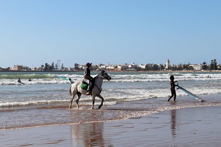 Essaouira Coastal Day Trip from Marrakech: Argan Groves, Medina & Harbor photo 3