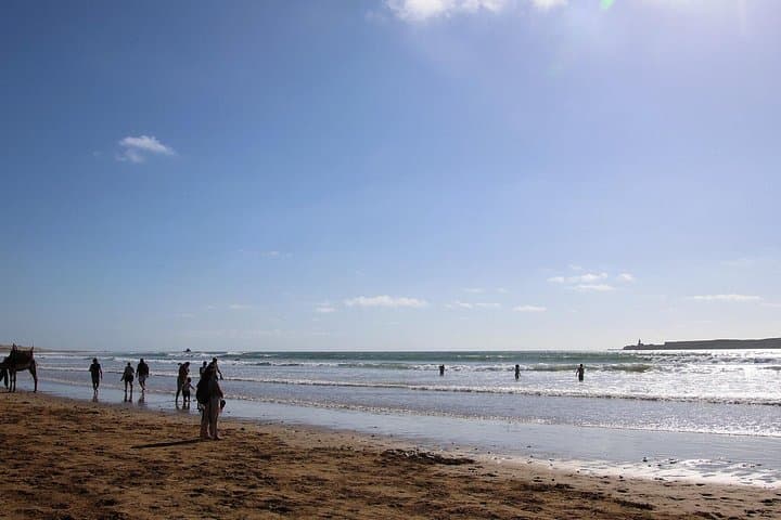 Essaouira Coastal Day Trip from Marrakech: Argan Groves, Medina & Harbor photo 4