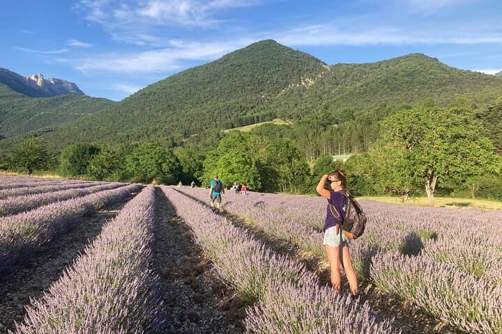 Family Hike Through the Lavender Fields of Vercors (Chamaloc)