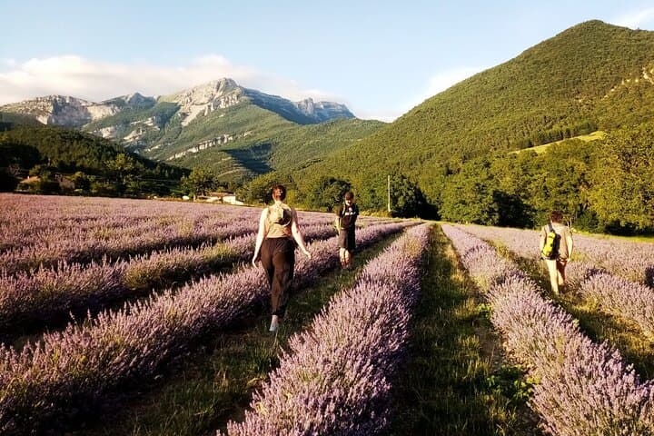 Family Hike Through the Lavender Fields of Vercors (Chamaloc) photo 2