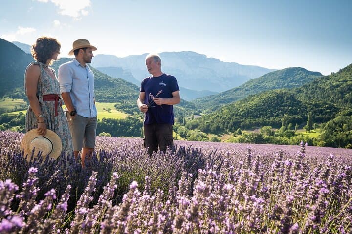 Family Hike Through the Lavender Fields of Vercors (Chamaloc) photo 3