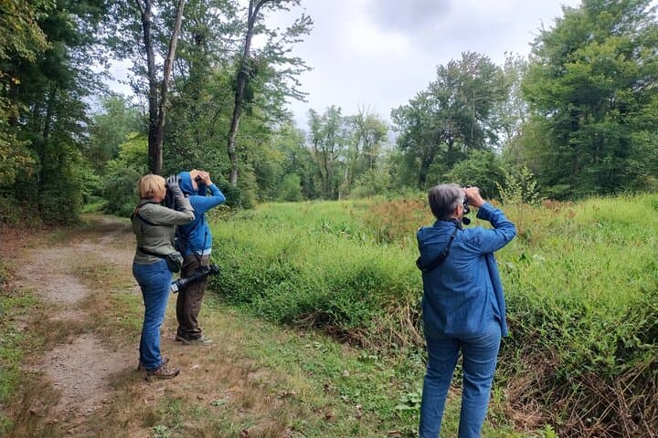 Jackson Park Birdwatching Walk Hendersonville Private Guided Tour photo 4