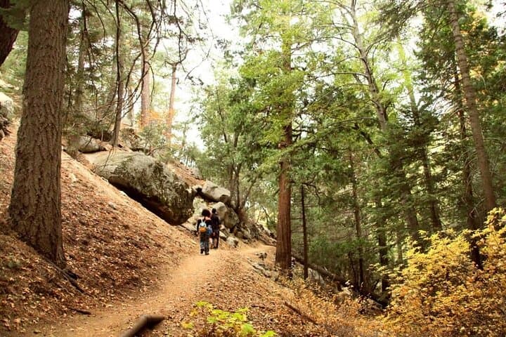 Idyllwild Day Tour: Ernie Maxwell Scenic Trail Hike & Coachella Valley Lookout photo 1