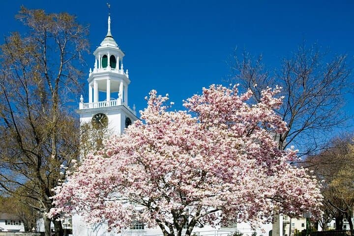 Explore CODA and Manchester-by-the-Sea: Half-Day Movie Tour from Boston photo 2