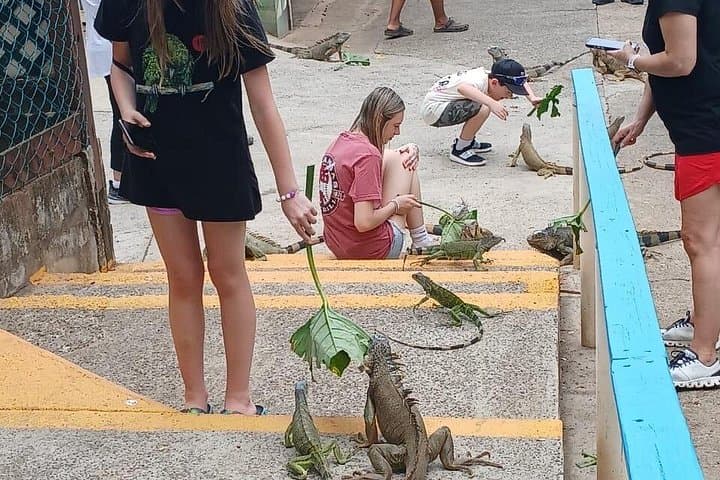 Private Roatan Family Wildlife & Chocolate Tour — Iguanas, Sloths, Monkeys photo 2