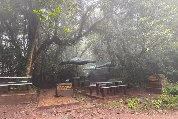 Two-Day Marangu Route Hike on Mount Kilimanjaro: Mandara to Horombo photo 4
