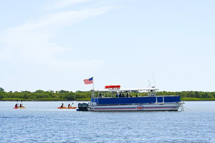 St. Augustine Wildlife Boat Cruise and Guided Kayak Eco Tour photo 3