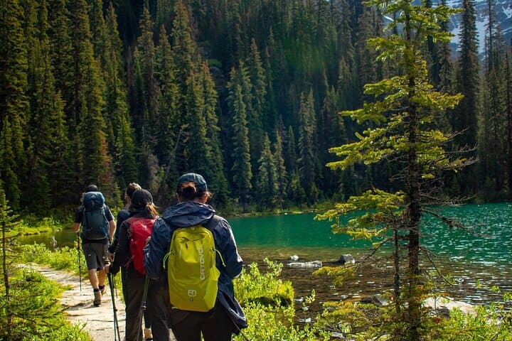 Guided Hikes in the Canadian Rockies: Bow Glacier Falls, Emerald Basin & Stanley Glacier photo 4