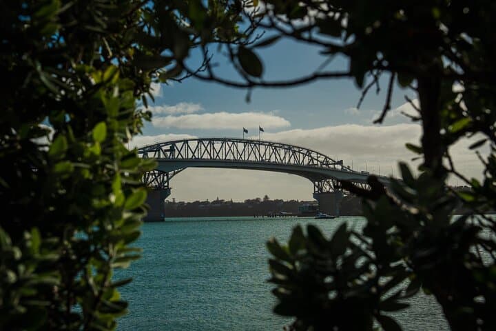 Half-Day Discover Auckland: Scenic City Sightseeing Tour photo 5