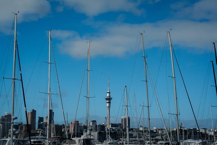 Half-Day Discover Auckland: Scenic City Sightseeing Tour photo 3
