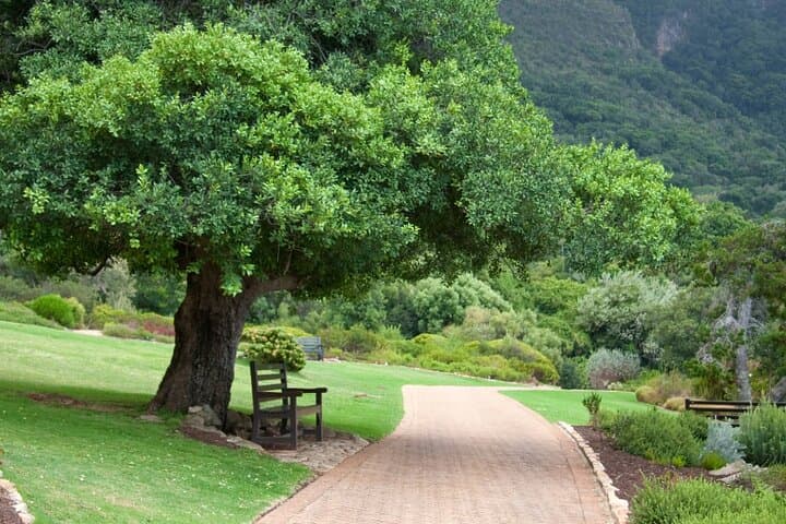Kirstenbosch Botanical Garden Entry — Cape Town Visitor Guide photo 6
