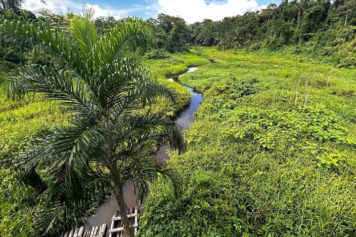 3-Day Manu Amazon Experience: Manu Lodge Wildlife & Macaw Clay Lick photo 5