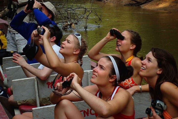 4-Day Manu National Park Jungle Adventure from Cusco — Macaws, Caimans & Cloud-Forest Trails photo 5