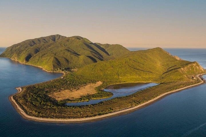 Kapiti Island Guided Day Tour — Wellington Wildlife & Conservation Experience photo 2