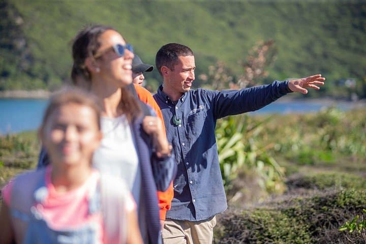 Kapiti Island Guided Day Tour — Wellington Wildlife & Conservation Experience