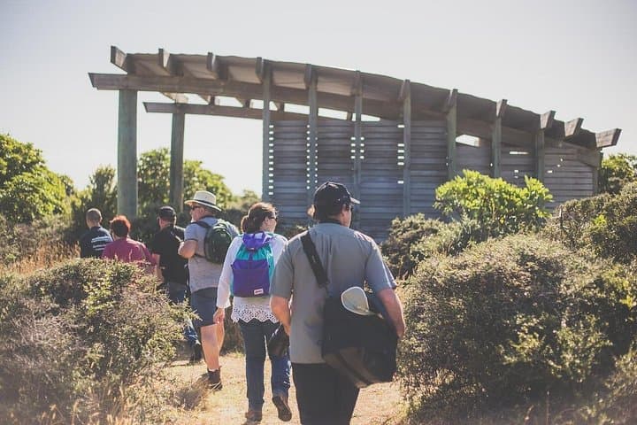 Kapiti Island Guided Day Tour — Wellington Wildlife & Conservation Experience photo 5