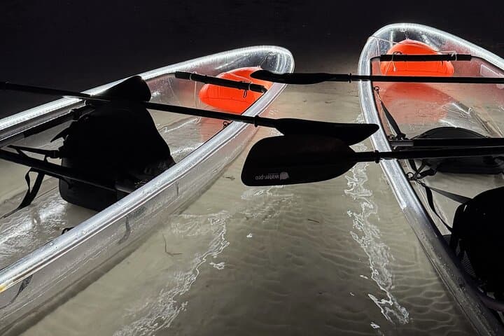 Clear Kayak Bioluminescence Tour in Holbox — Paddle the Glowing Sea photo 4