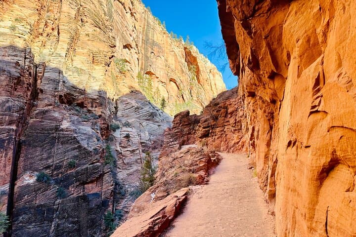 Scout Lookout Guided Hike in Zion Canyon: 4-Mile Small-Group Adventure photo 2