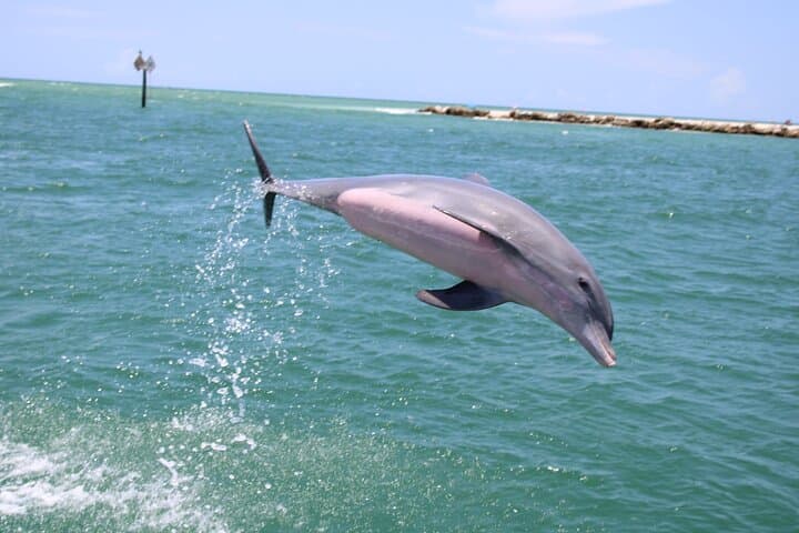 Parasailing in Sarasota: Aerial Views of Lido, Longboat & Siesta Keys photo 4