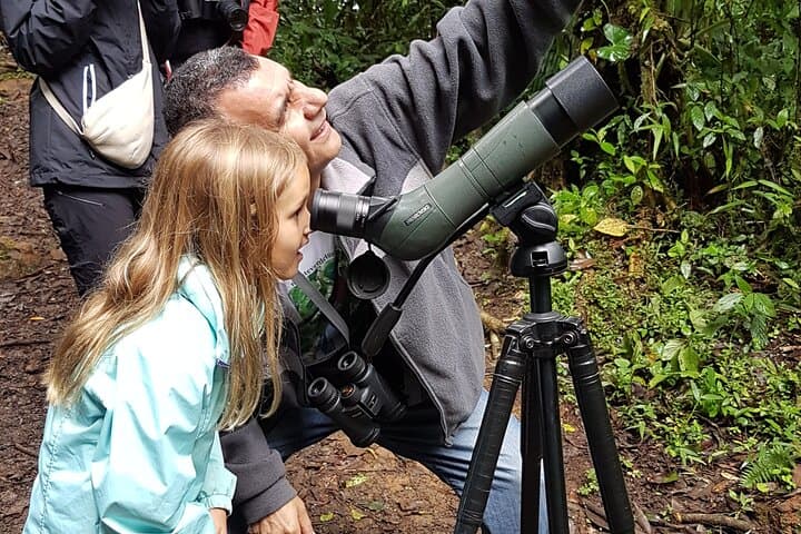 Monteverde Cloud Forest Guided Walk — Discover Costa Rica’s Living Canopy photo 3