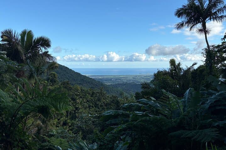 Private El Yunque Adventure: El Toro Trail, Hidden Waterfalls & River Jump photo 2
